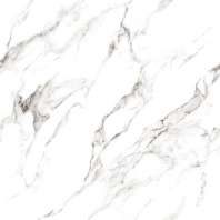 Granit Oceania OLYMPUS CINZA 60x60