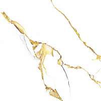 Granit Oceania REGGIO OURO 60x60