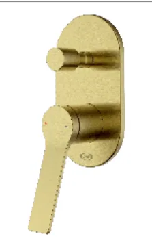 SAH - DV1 BG 8 — Mixer Concealed Faucet