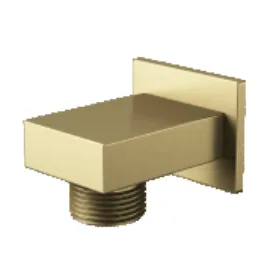 SPH 03 BG — Shower Outlet