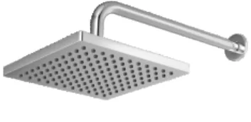 WS 11C — Wall Shower