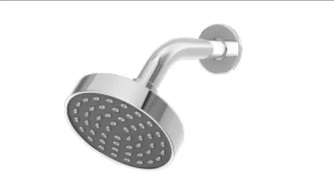 WS 12 FR — Wall Shower