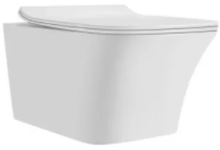 HWC - 10 — Washdown Wall-hung Toilet